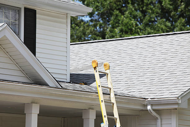 Best Shed Removal  in Lake Holiday, IL